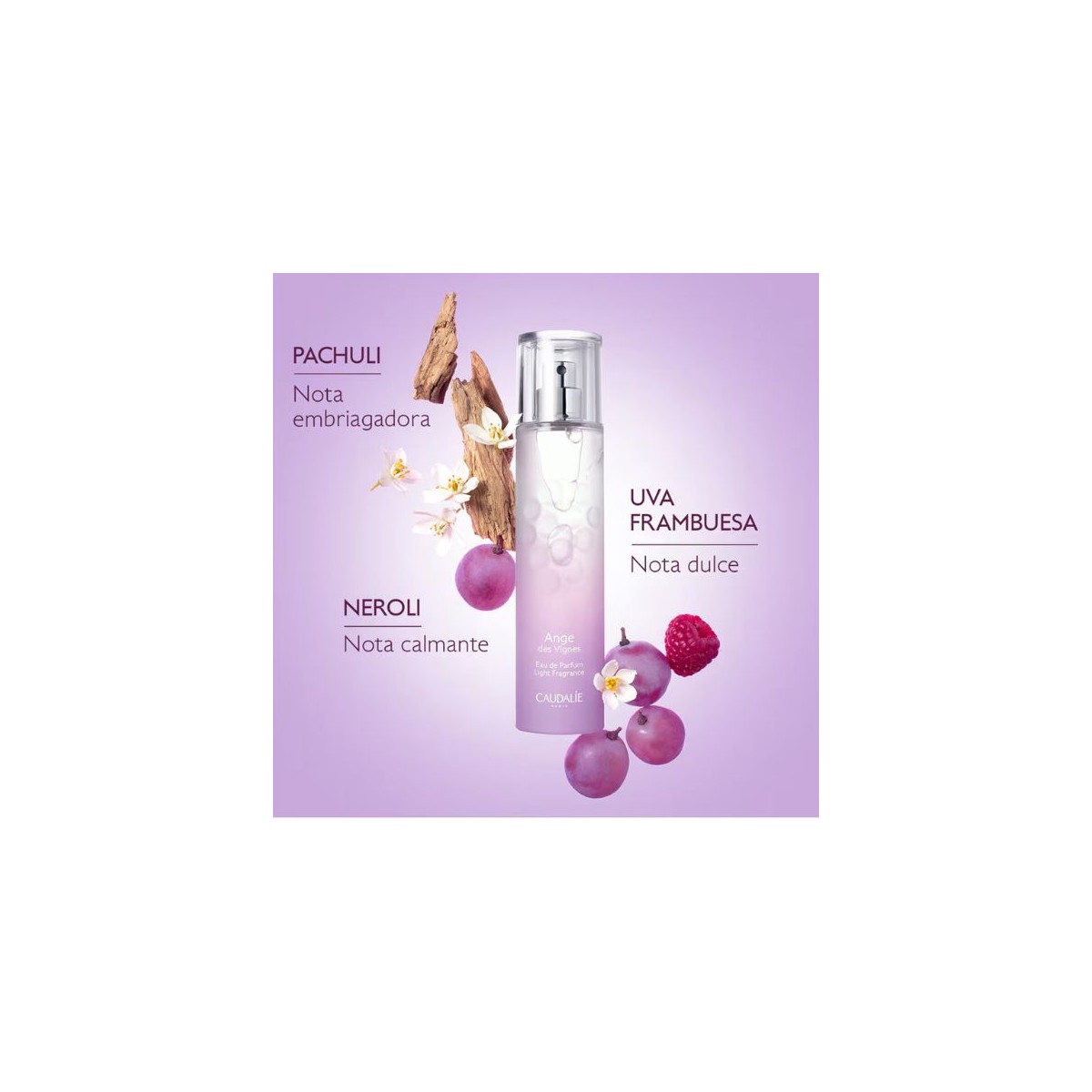 CAUDALIE EAU DE PARFUM ANGE DES VIGNES 50ML